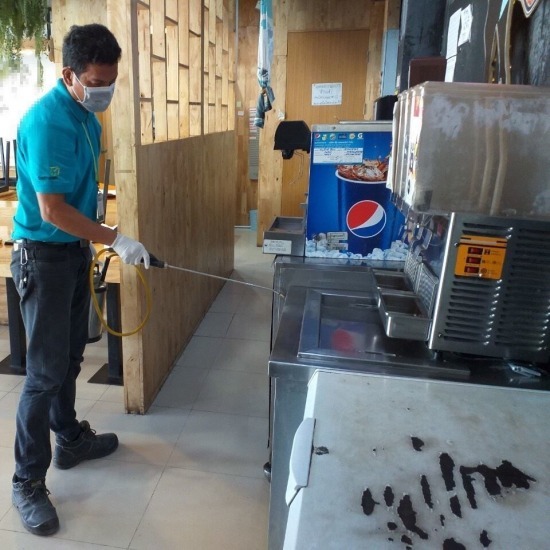 บริษัทกำจัดมด เชียงราย - บริษัทกําจัดปลวก เชียงราย - มินิ บั๊ค บริษัทกำจัดมด เชียงราย - บริษัทกําจัดปลวก เชียงราย - มินิ บั๊ค