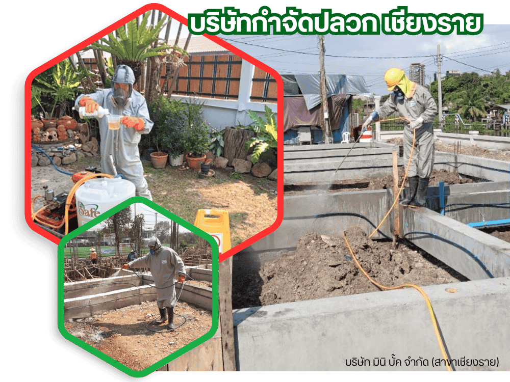 บริษัทกําจัดปลวก เชียงราย