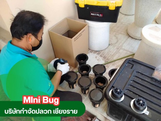 รับวางระบบป้องกันปลวก เชียงราย